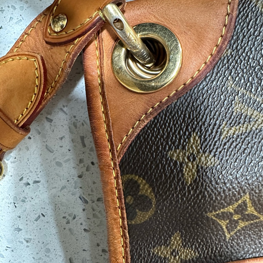 Louis Vuitton Monogram Canvas Hobo with Gold Hardware - Picture 13 of 16